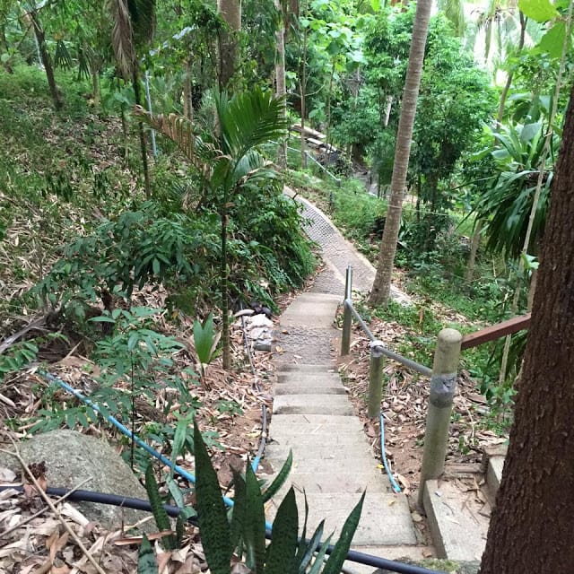 Pathway to the meditation hall