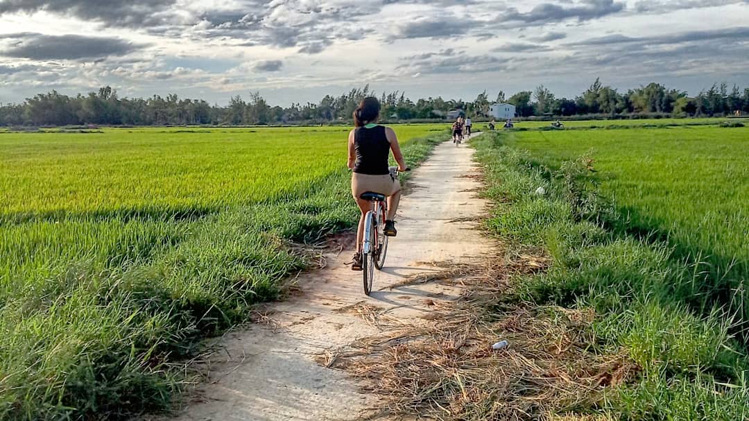 Riding in the rice fields in Vietnam