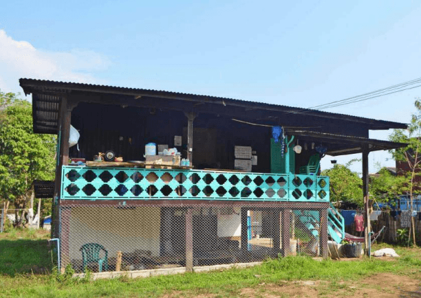 Baan Unrak Volunteer House - animal shelter in Thailand - Ummi Goes Where?