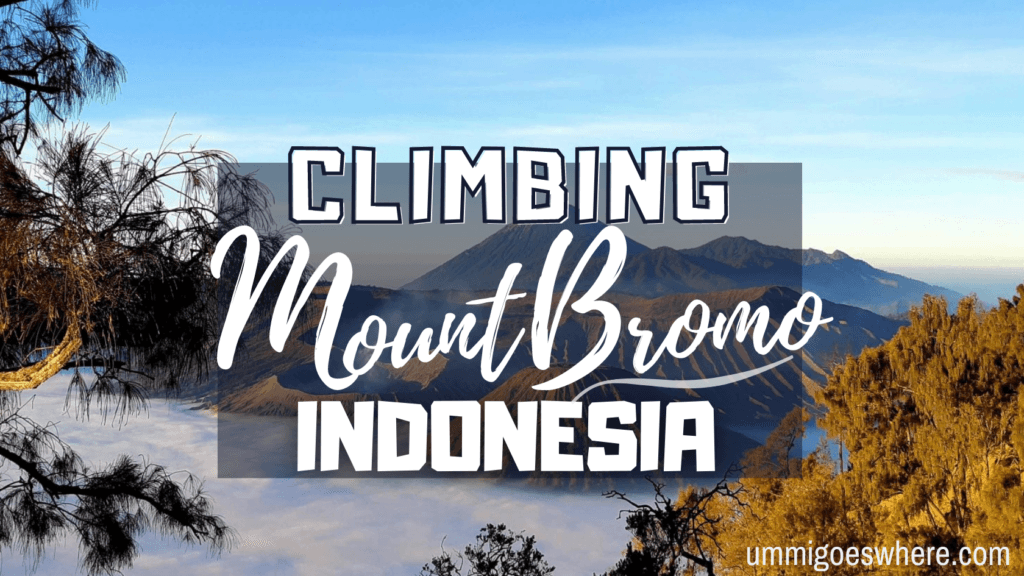Climbing Mount Bromo | Ummi Goes Where?