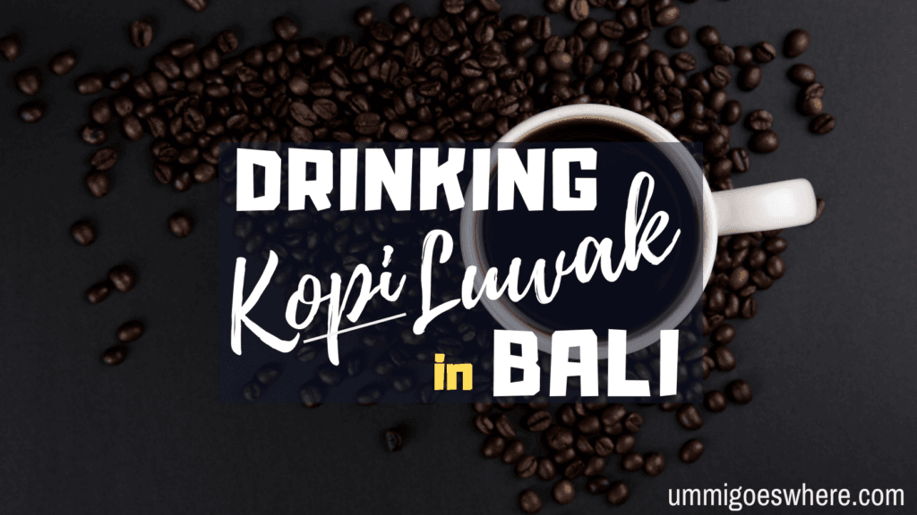 Drinking Kopi Luwak in Bali | Ummi Goes Where?