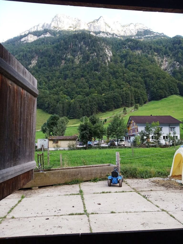 Schlaf im Stroh view