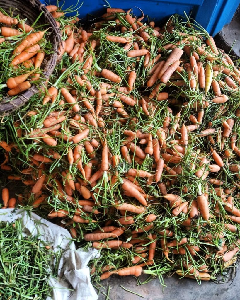 carrots at Nyamirambo market
