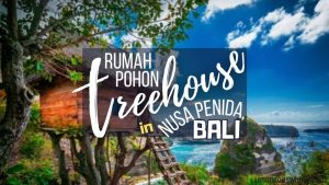 Rumah pohon treehouse nusa penida