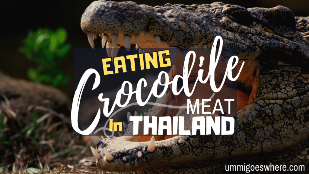 Eating Crocodile Meat in Thailand | Ummi Goes Where?