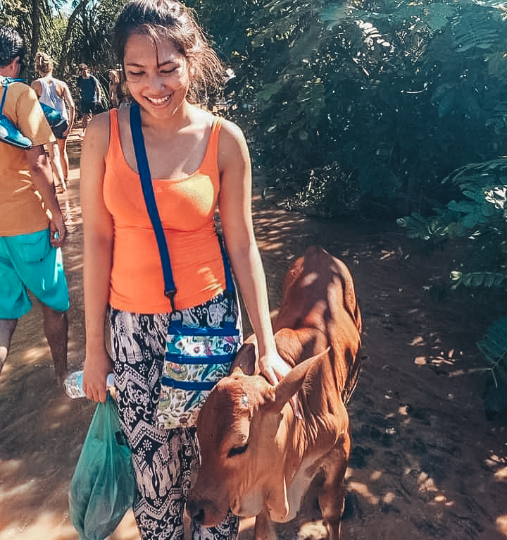 Fairy Stream, Vietnam