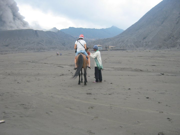 Horse on Mount Bromo