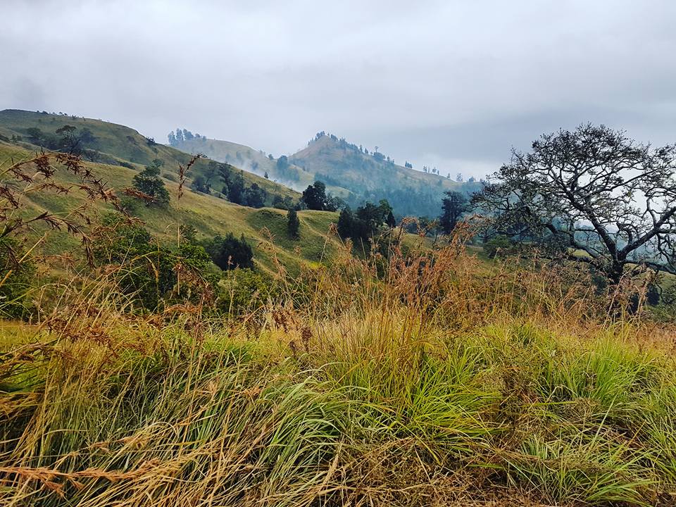 View on Mount Rinjani
