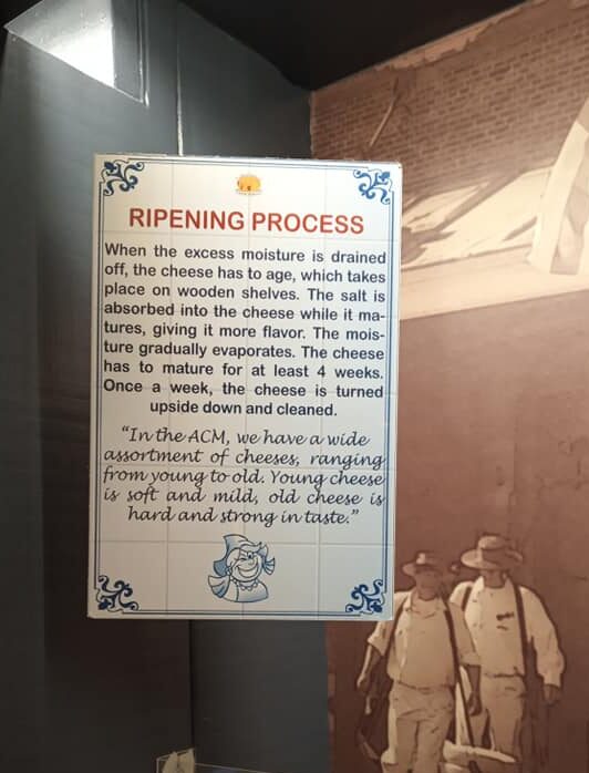 Cheese ripening process