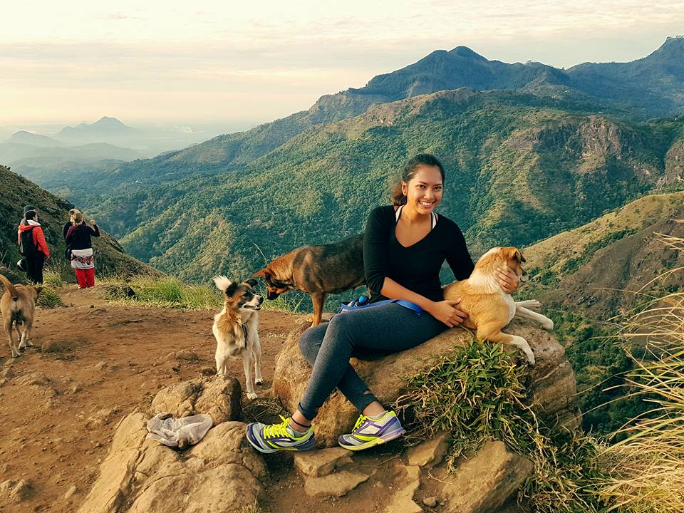 Little Adam's Peak with stray dogs