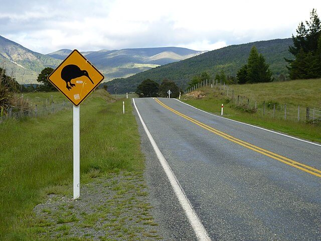 New Zealand road