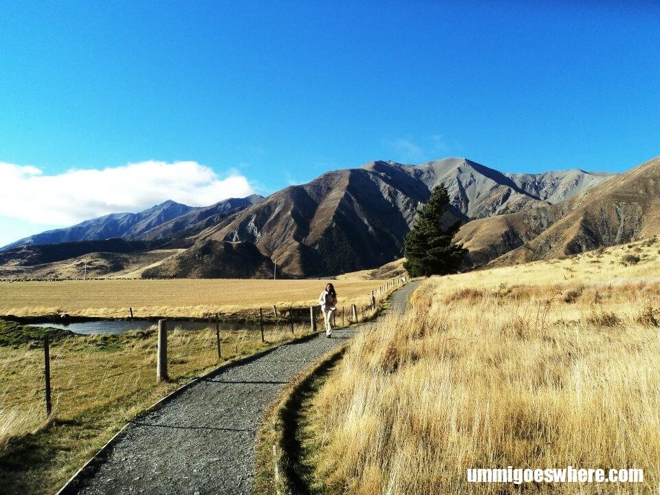 Castle Hill South Island New Zealand