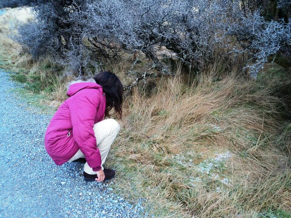Mount Cook New Zealand
