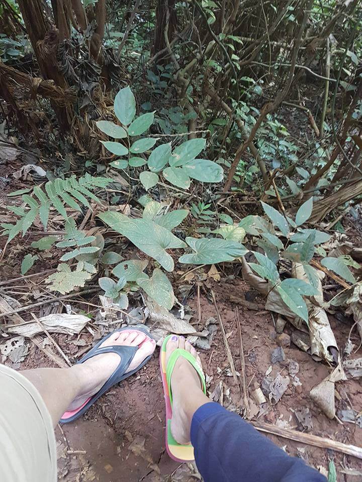 Kuang Si Waterfall Luang Prabang Laos