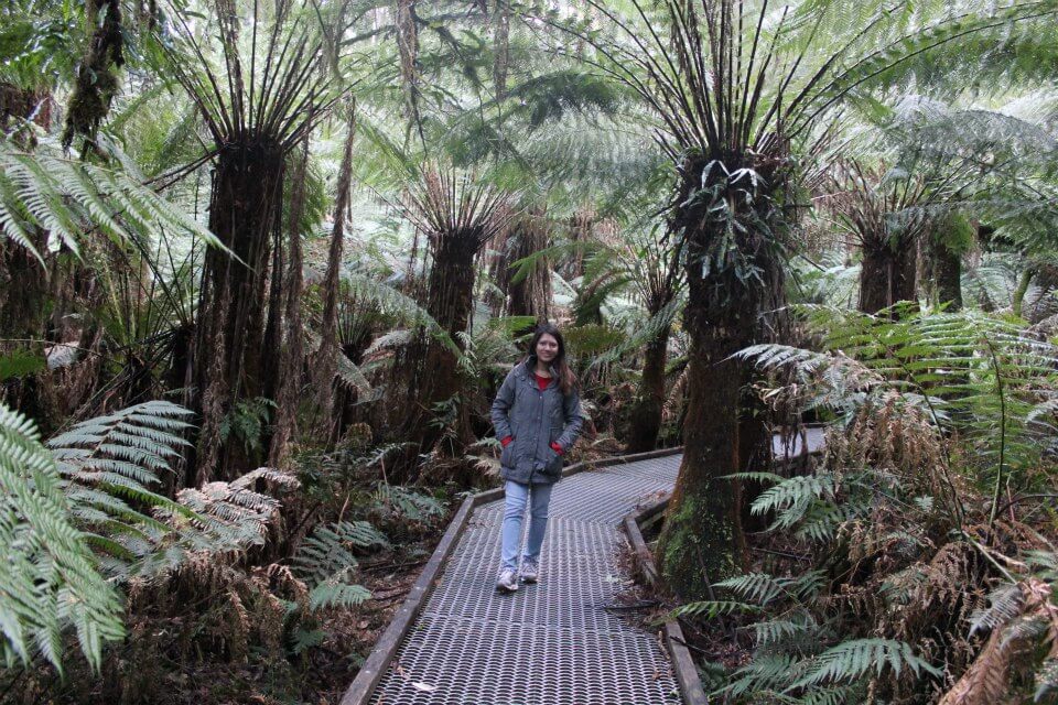 Triplet Falls Great Ocean Road