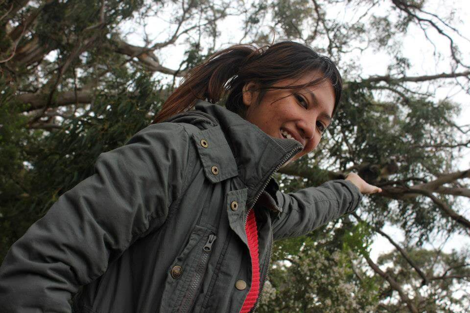 Koalas on the Great Ocean Road Australia