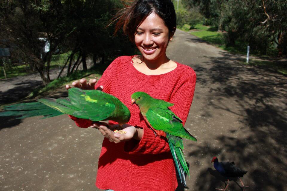Kennett River Great Ocean Road Australia | Ummi Goes Where?