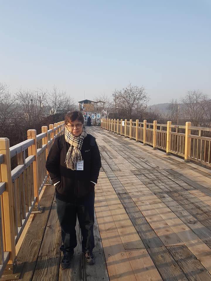 Freedom Bridge DMS Korea