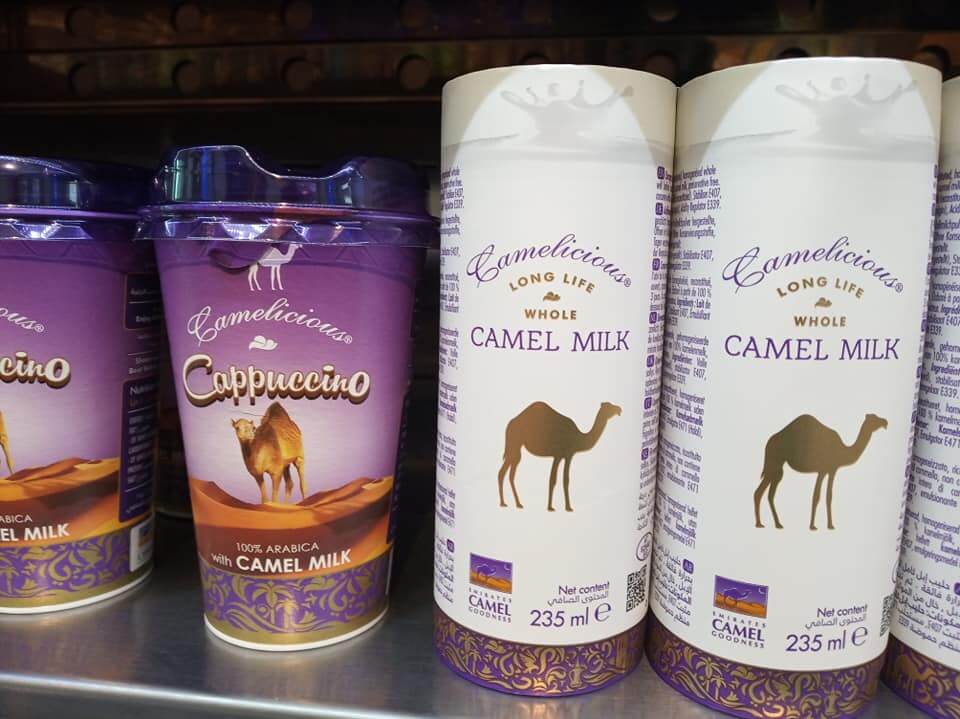 Oman camel milk | Ummi Goes Where?