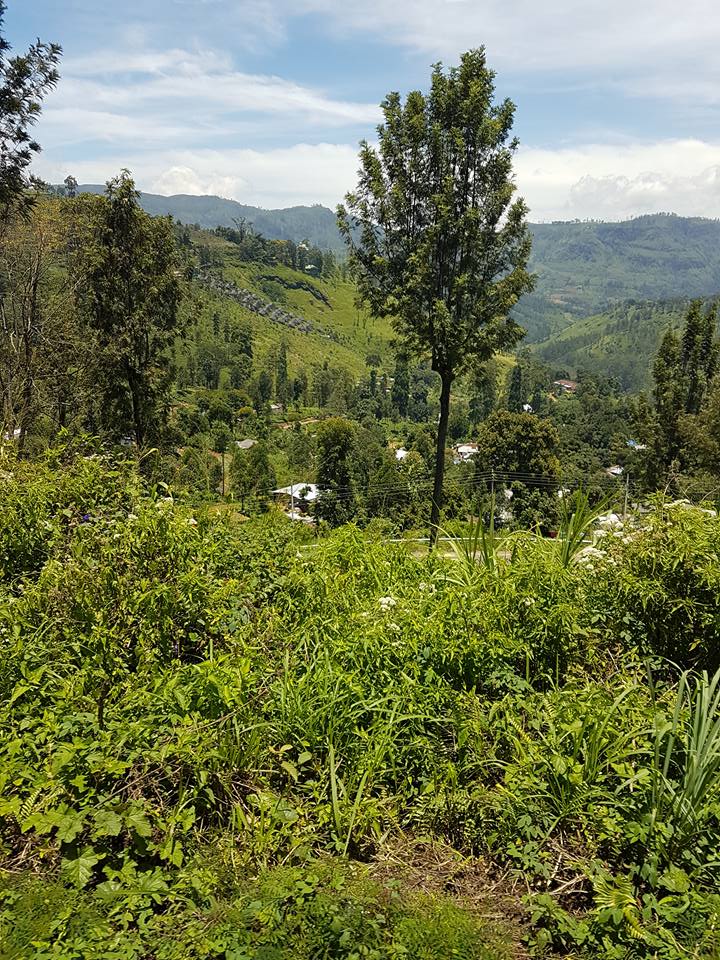 Kandy Ella train scenery | Ummi Goes Where?