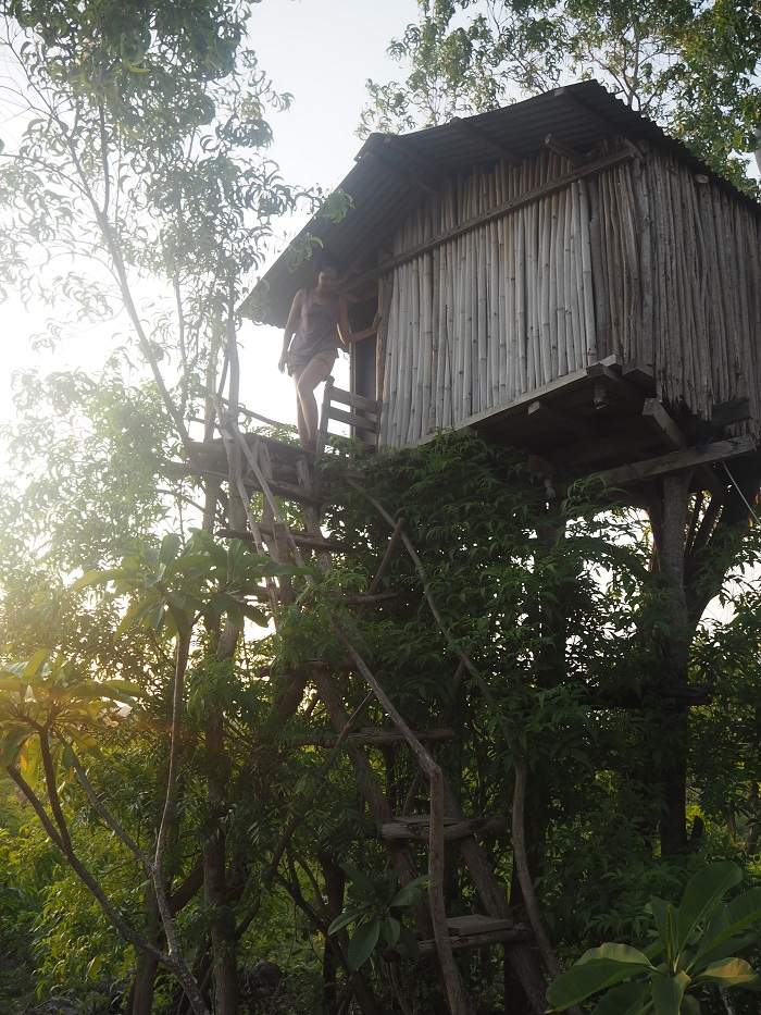 A rickety treehouse