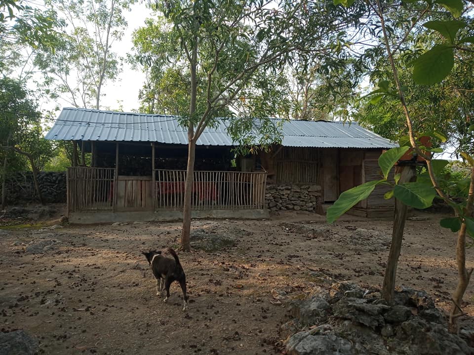 Rumah Pohon Nusa Penida reception