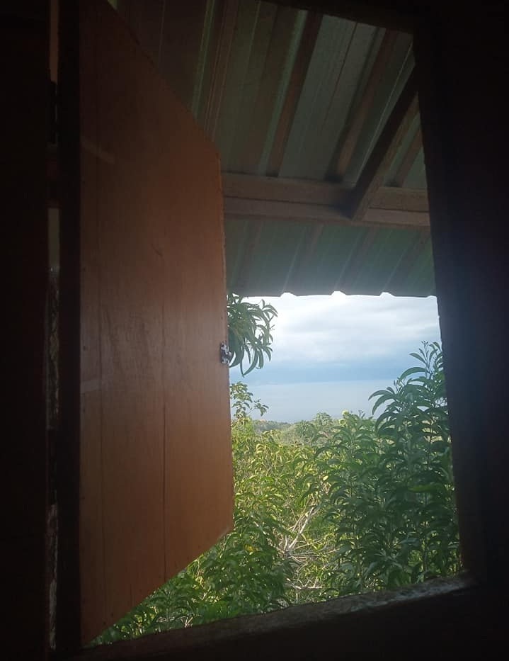 Rumah Pohon Nusa Penida