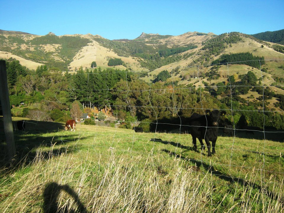Akaroa hikes