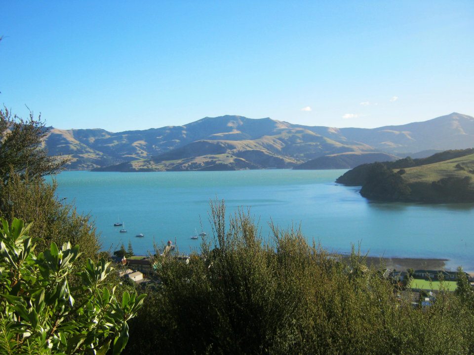 Akaroa Harbor from above | Ummi Goes Where?