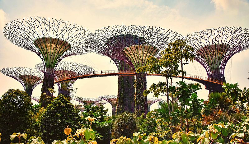 Supertrees Singapore