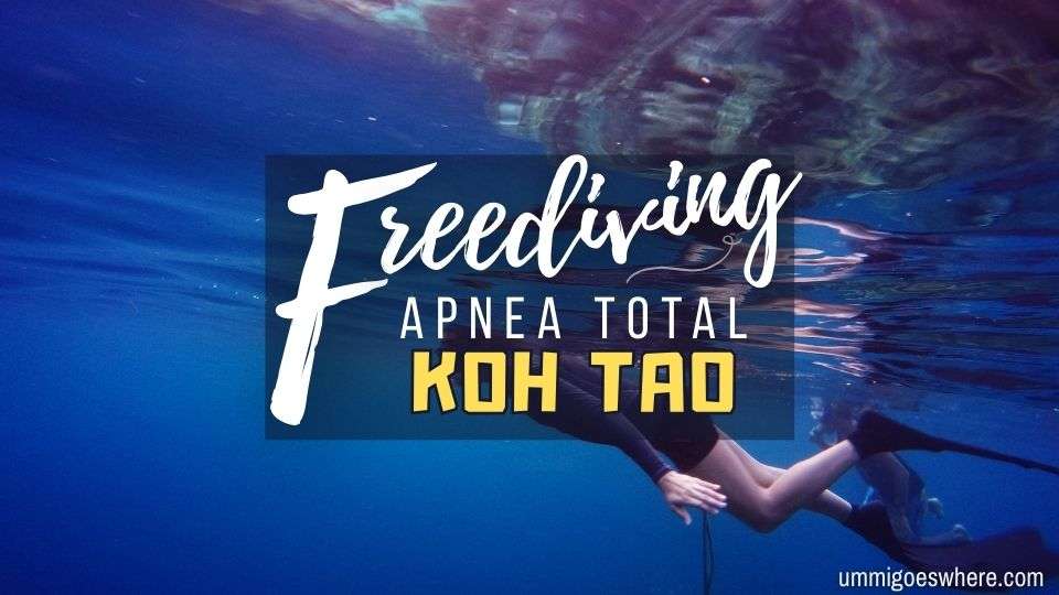 Freediving Apnea Total Koh Tao