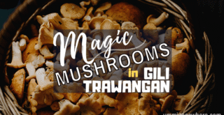 A Beginner's Guide to Magic Mushrooms in Gili Trawangan | Ummi Goes Where?