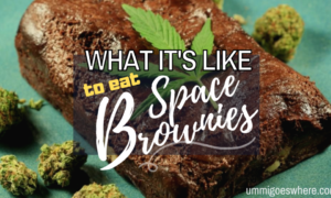 What It's Like to Eat Space Brownies | Ummi Goes Where?