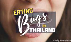 Eating Bugs in Thailand | Ummi Goes Where?